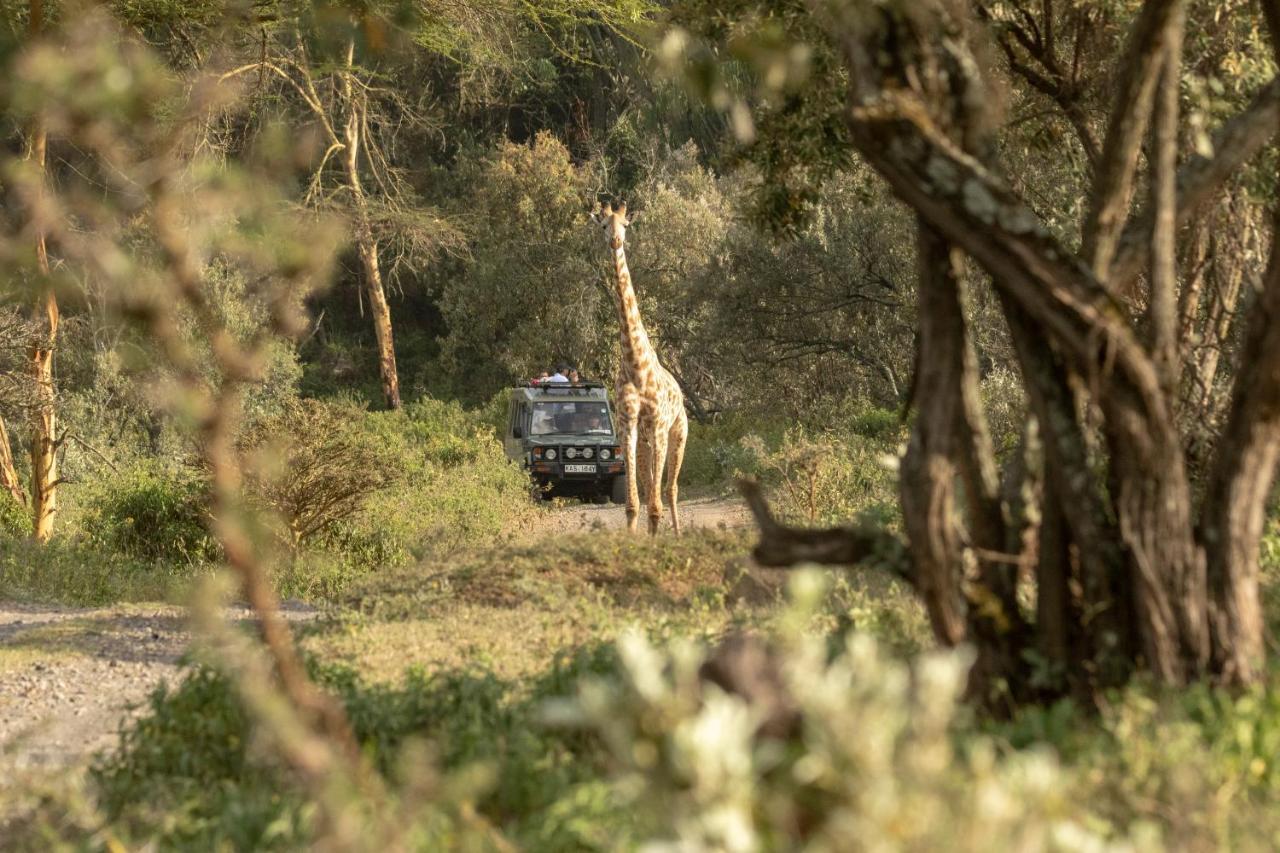 Chui Lodge Naivasha Ngoại thất bức ảnh