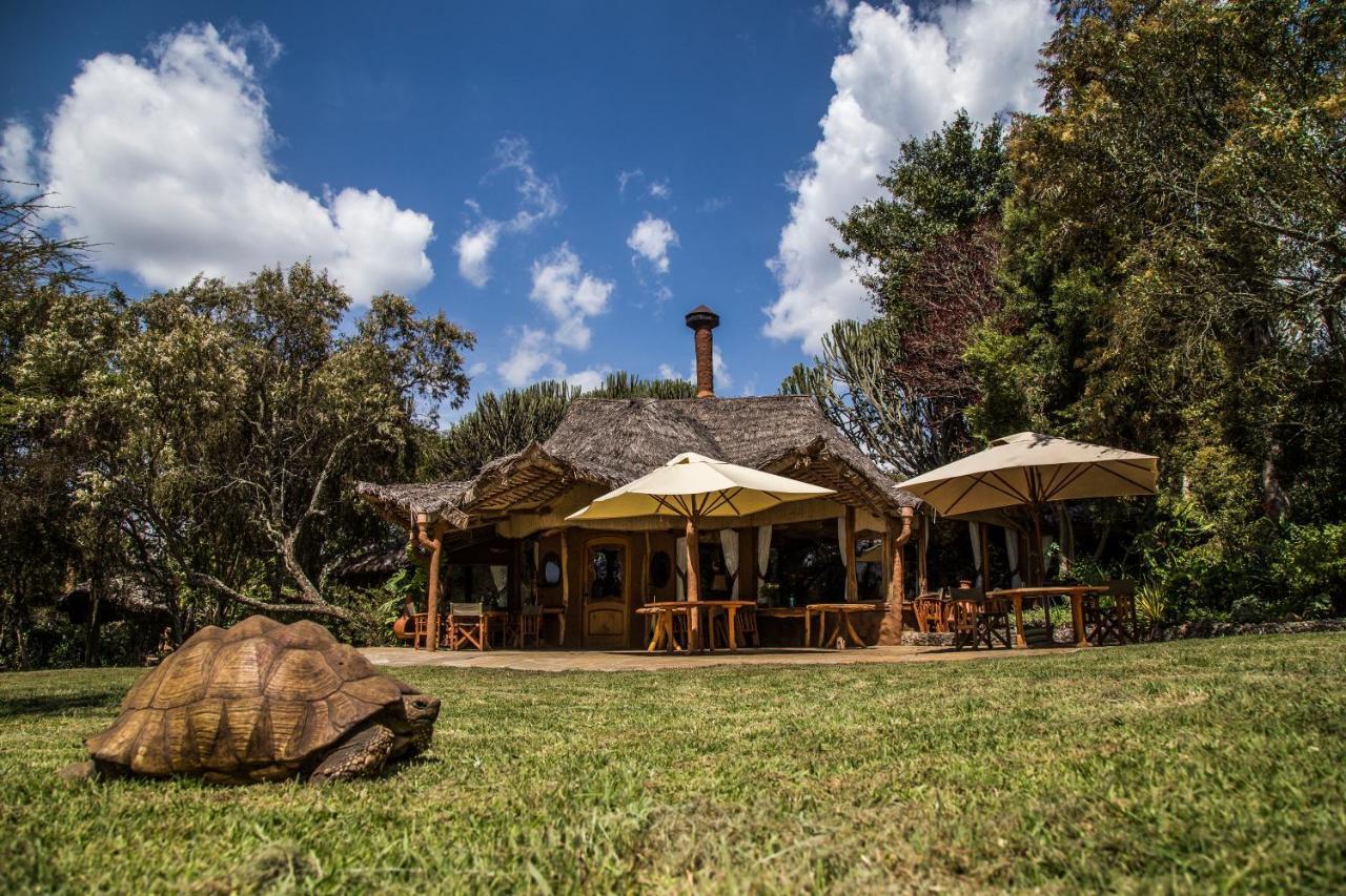 Chui Lodge Naivasha Ngoại thất bức ảnh
